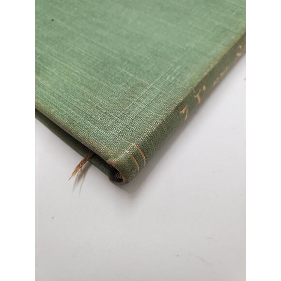 Antique Book Gedenkbuch Castell Toblino by J.V. von Scheffel German 1901 - Picture 10 of 15